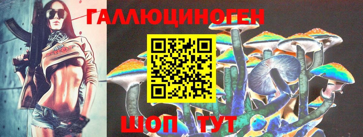 Галлюциногенные грибы Psilocybine cubensis Арзамас