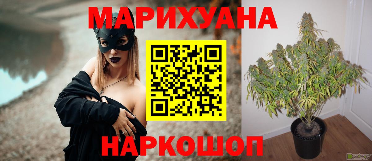 Бошки марихуана ГИДРОПОН Арзамас